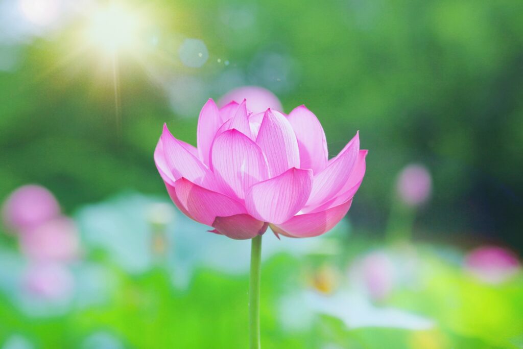 人生は、全部変えなくても整え直すことができます。